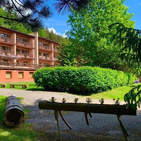 Horsky Hotel Podjavornik Papradno Luaran gambar