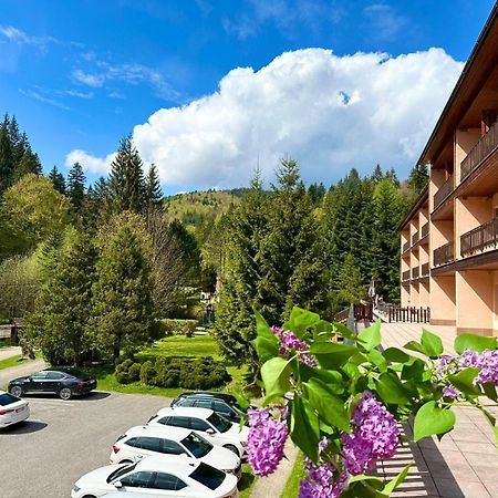 Horsky Hotel Podjavornik Papradno Luaran gambar