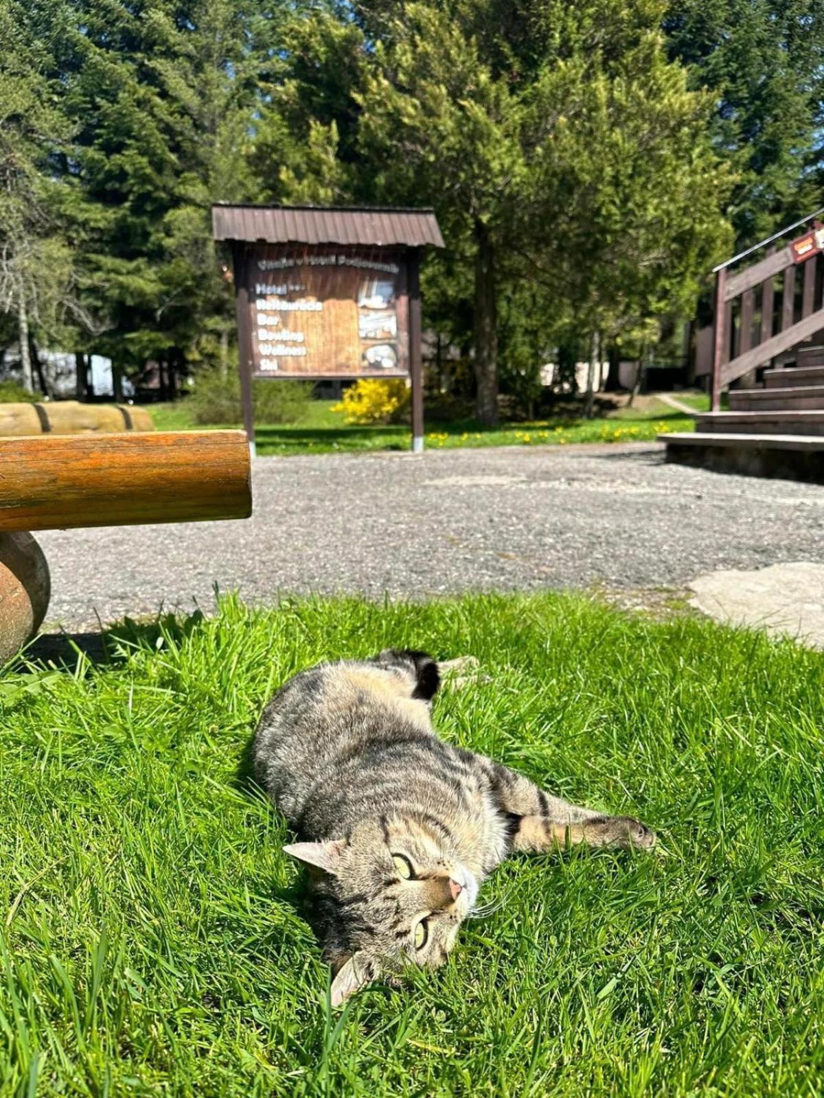 Horsky Hotel Podjavornik Papradno Luaran gambar
