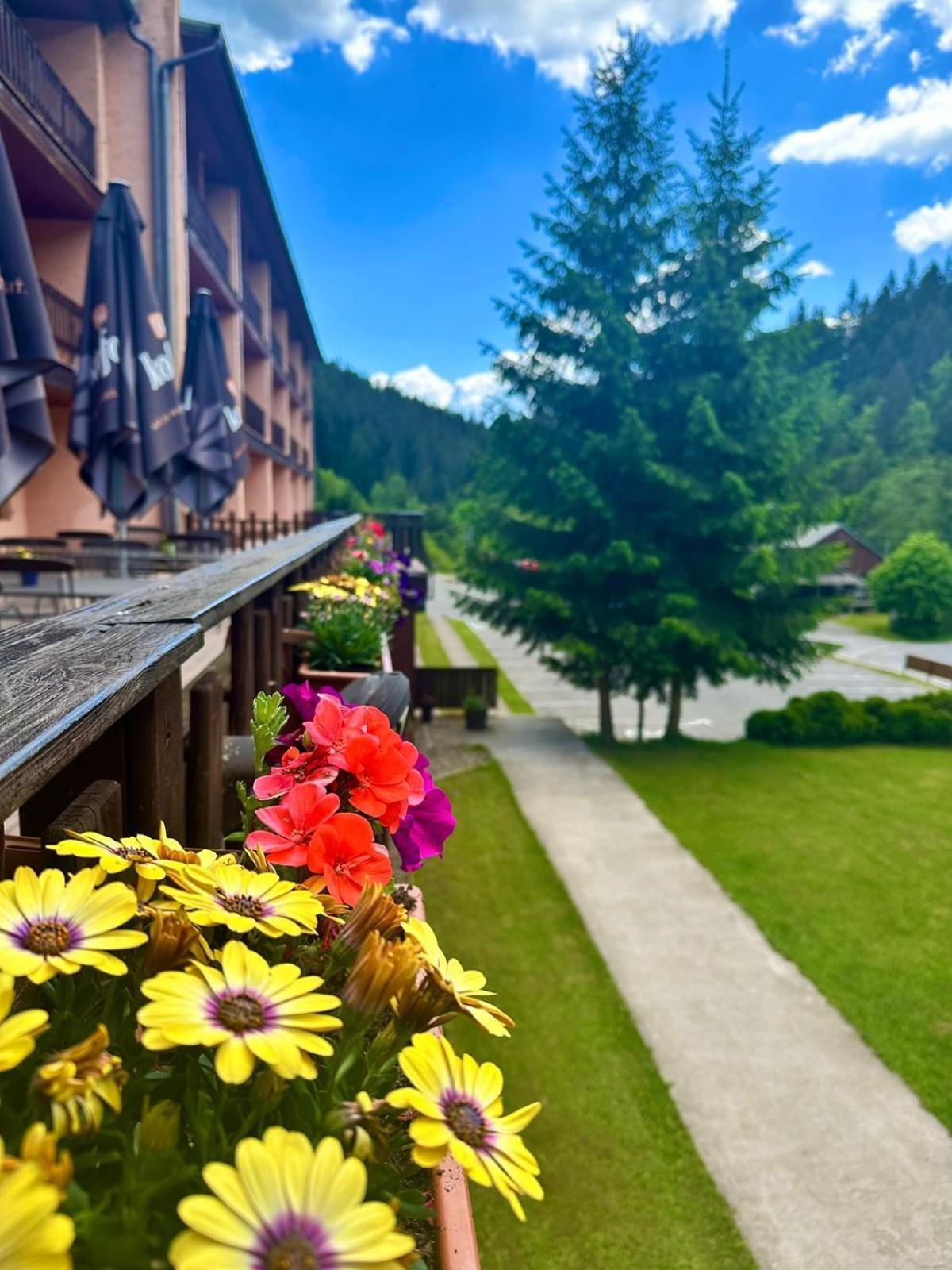 Horsky Hotel Podjavornik Papradno Luaran gambar
